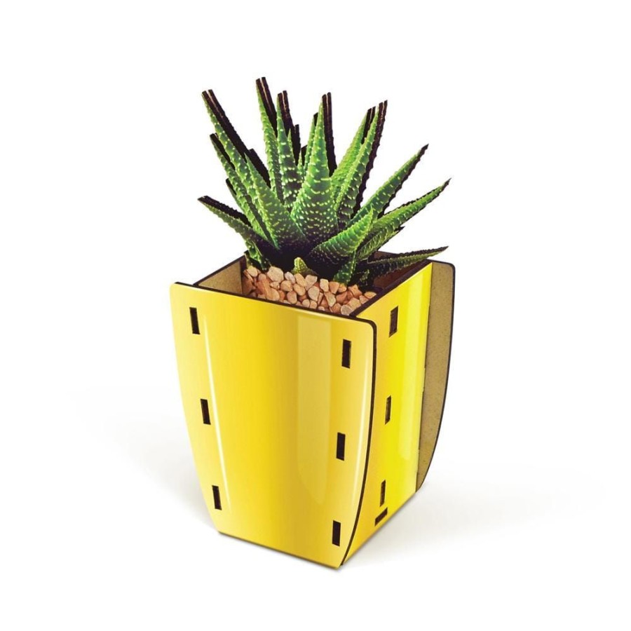 Desk Fred & Friends Accessories | Pop Plants - Aloe