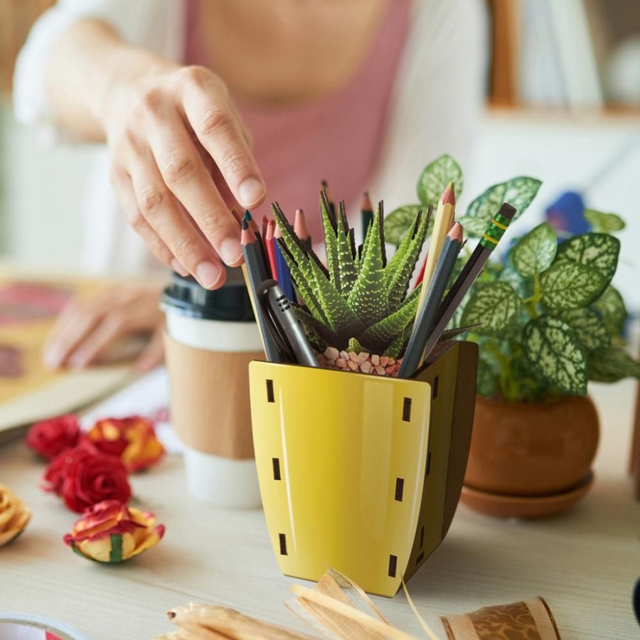 Desk Fred & Friends Accessories | Pop Plants - Aloe