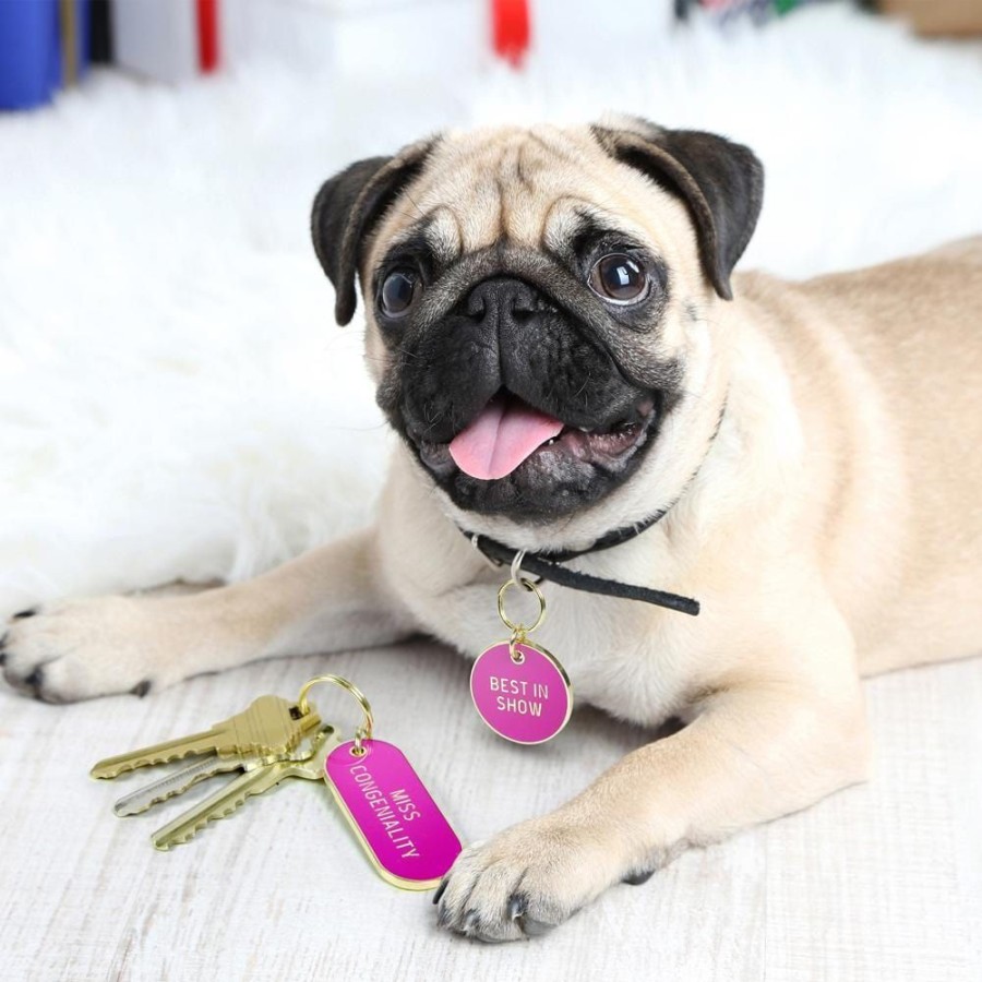 Pets Fred & Friends Dogs | Keychain + Dog Tag Set